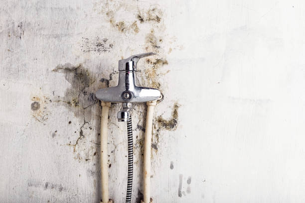 Best Mold Remediation for Schools in North Hills, NY
