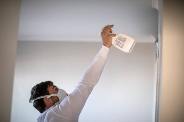  North Hills, NY Mold Removal Pros